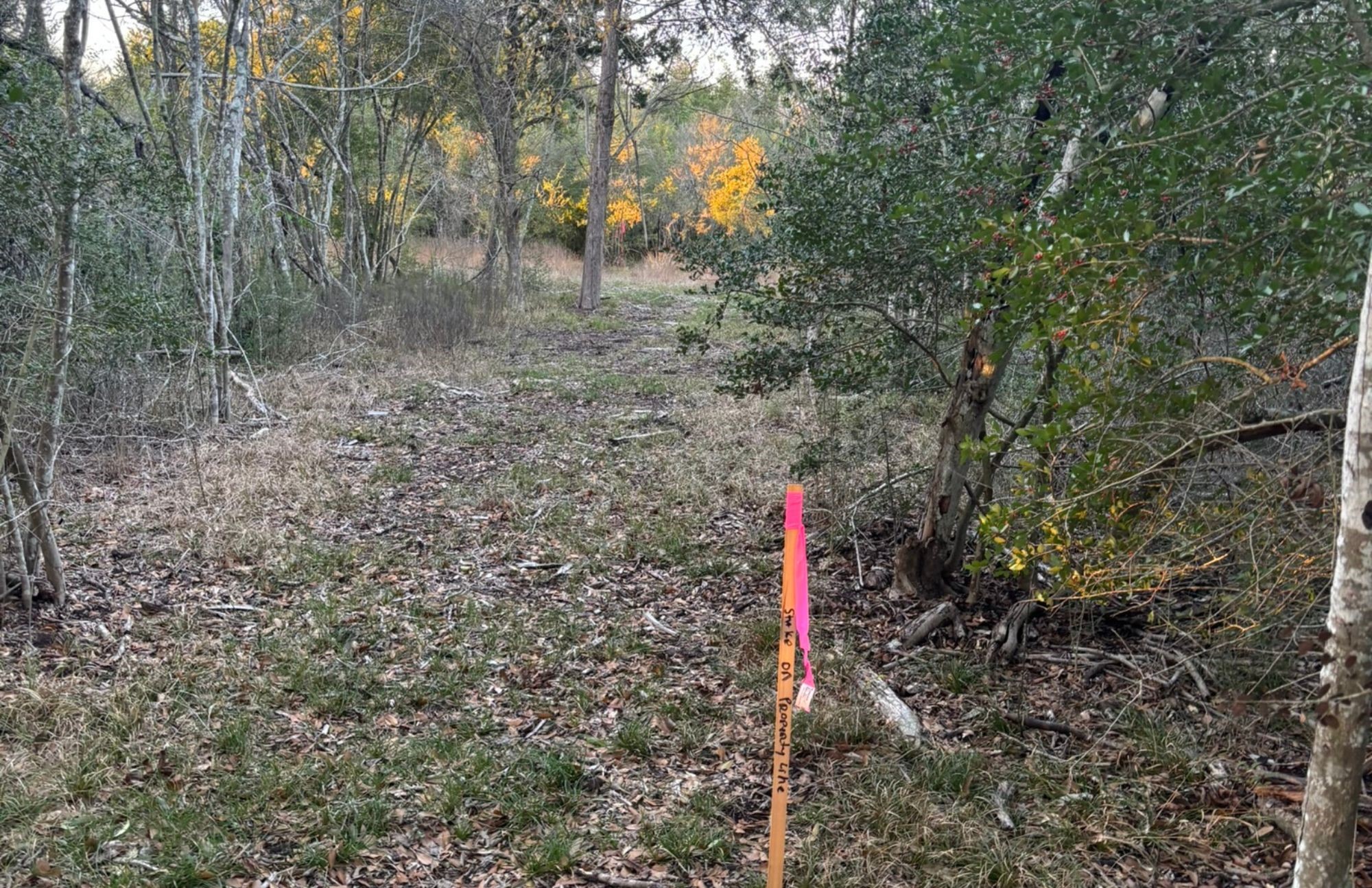Lot 26 Winding Branch Property Photo 8