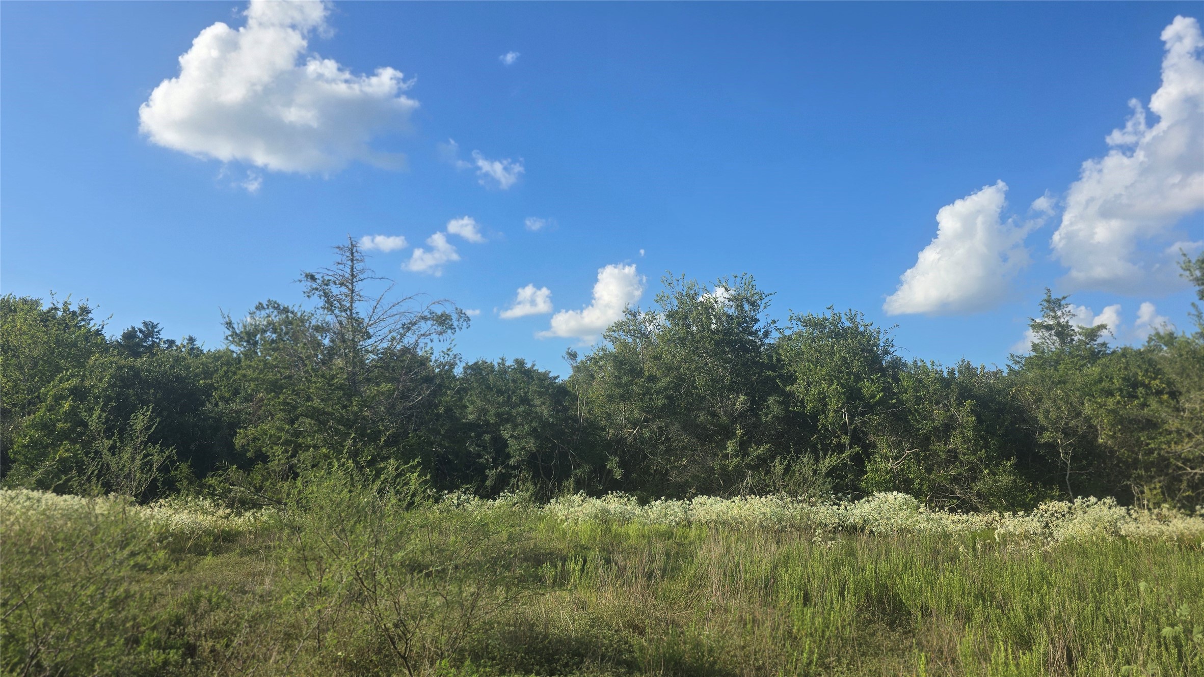 Lot 26 Winding Branch Property Photo 10