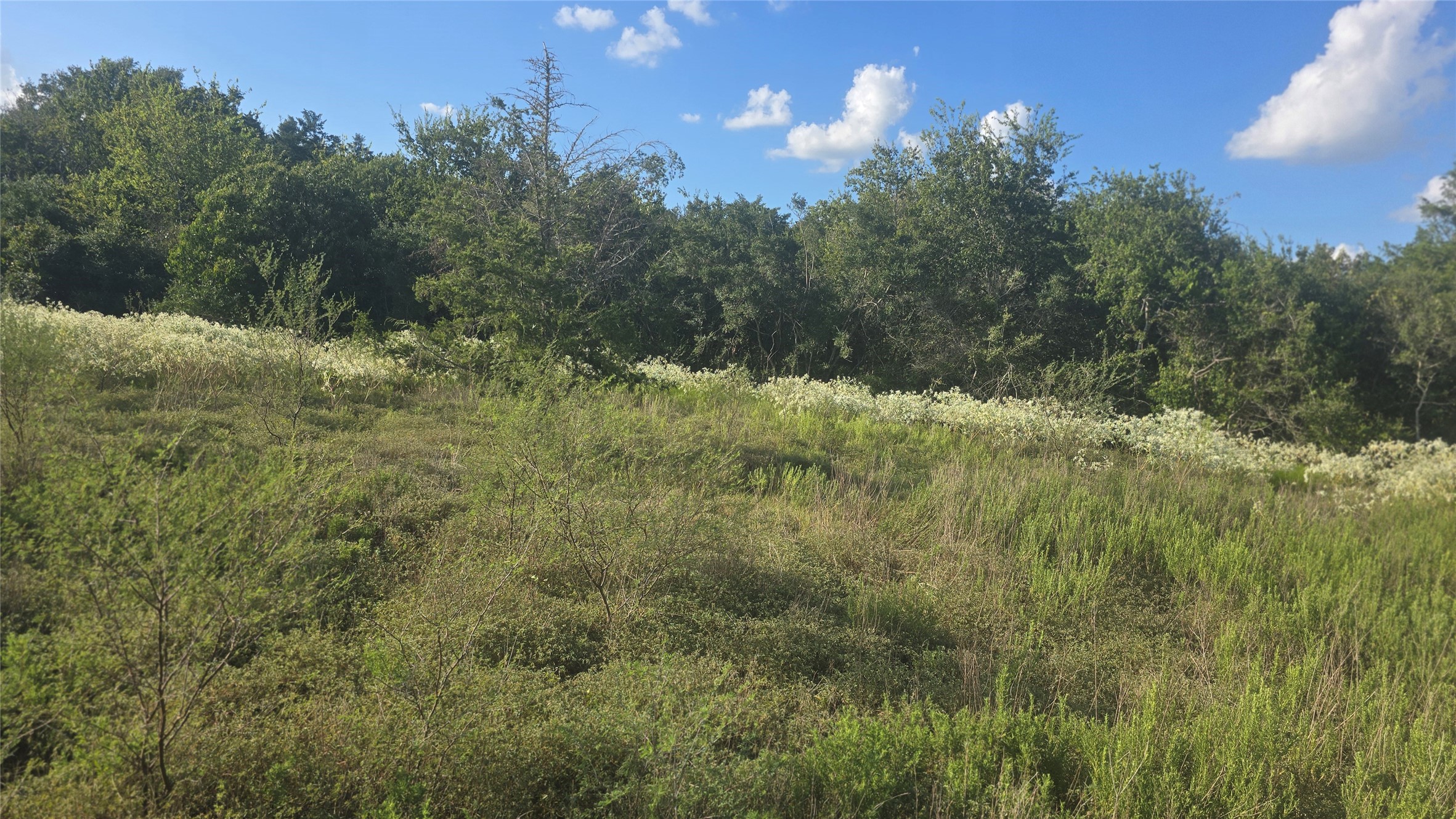 Lot 26 Winding Branch Property Photo 11