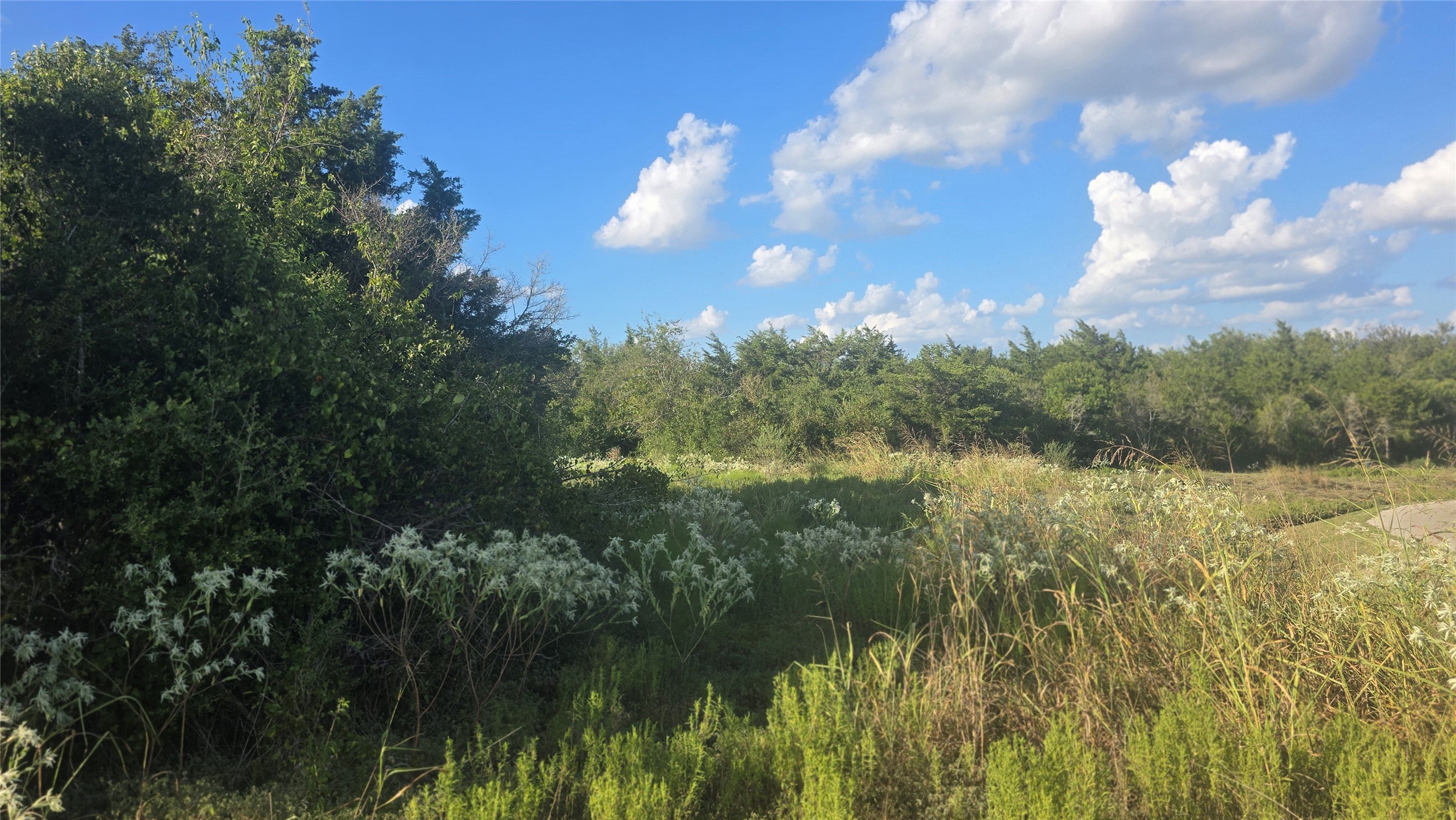 Lot 26 Winding Branch Property Photo 12