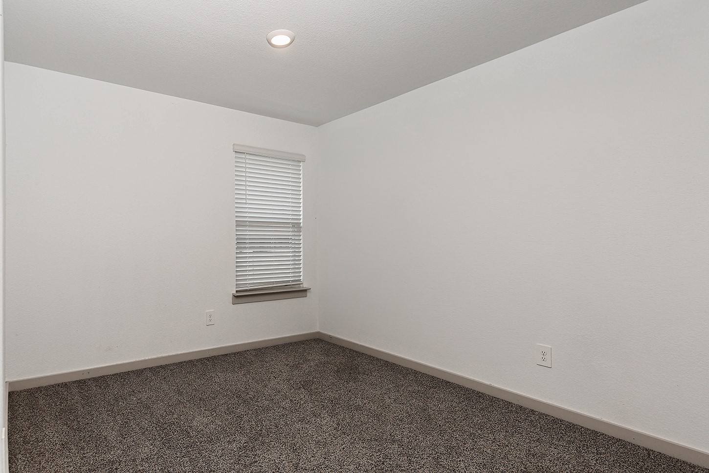 2909 Newington Lane Property Photo 11