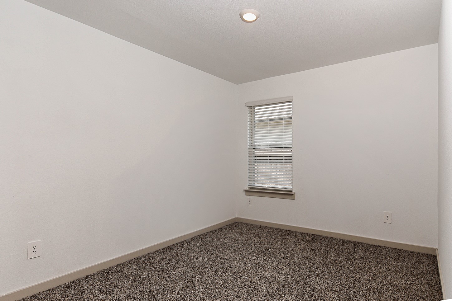 2909 Newington Lane Property Photo 12