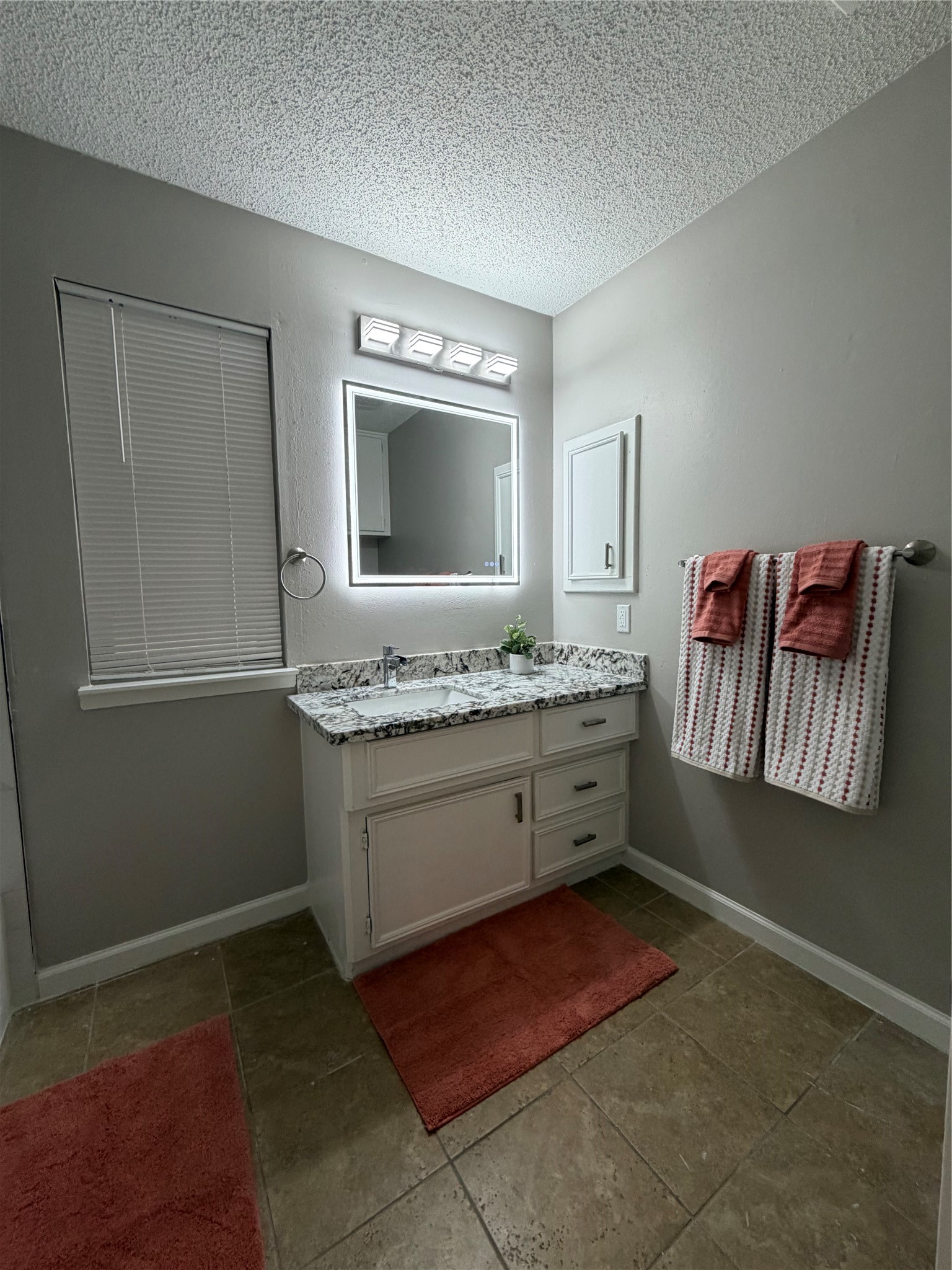 3908 Redstem Court Property Photo 16