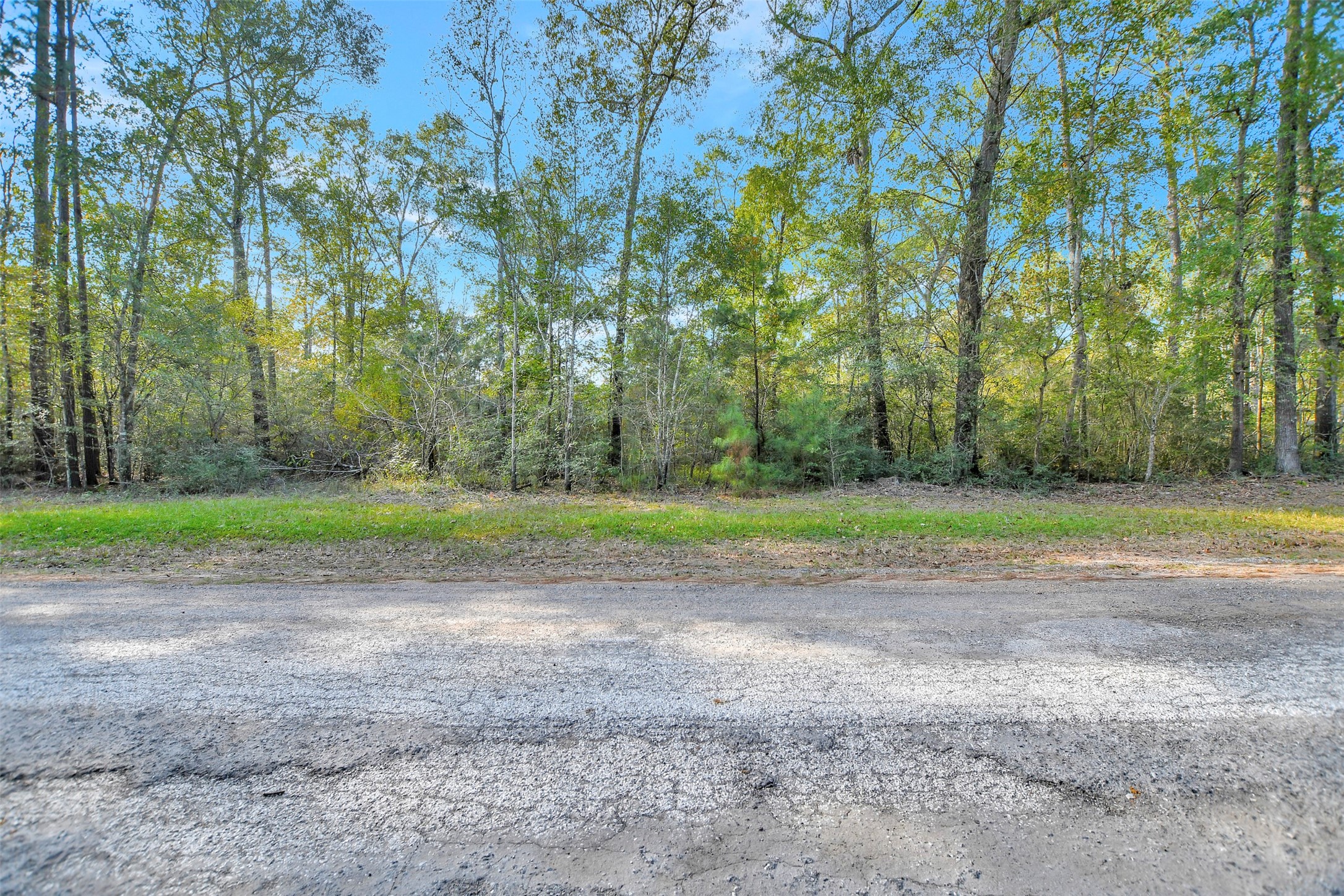 100 Virginia Creek Property Photo 3