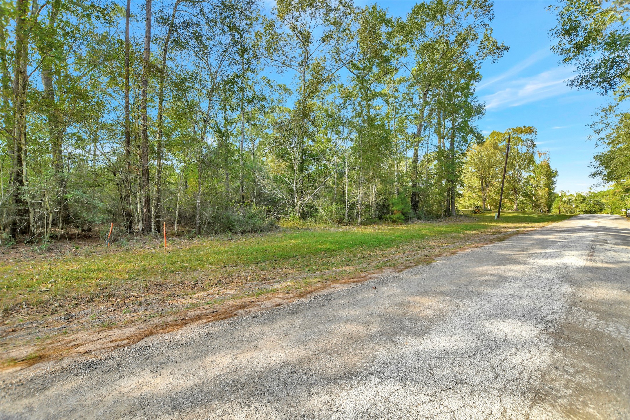 100 Virginia Creek Property Photo 4