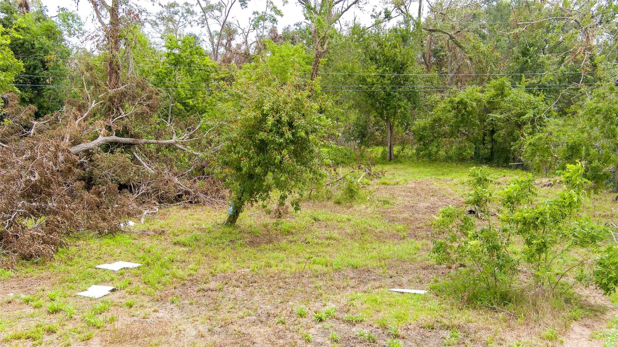 131 Coker Street Property Photo