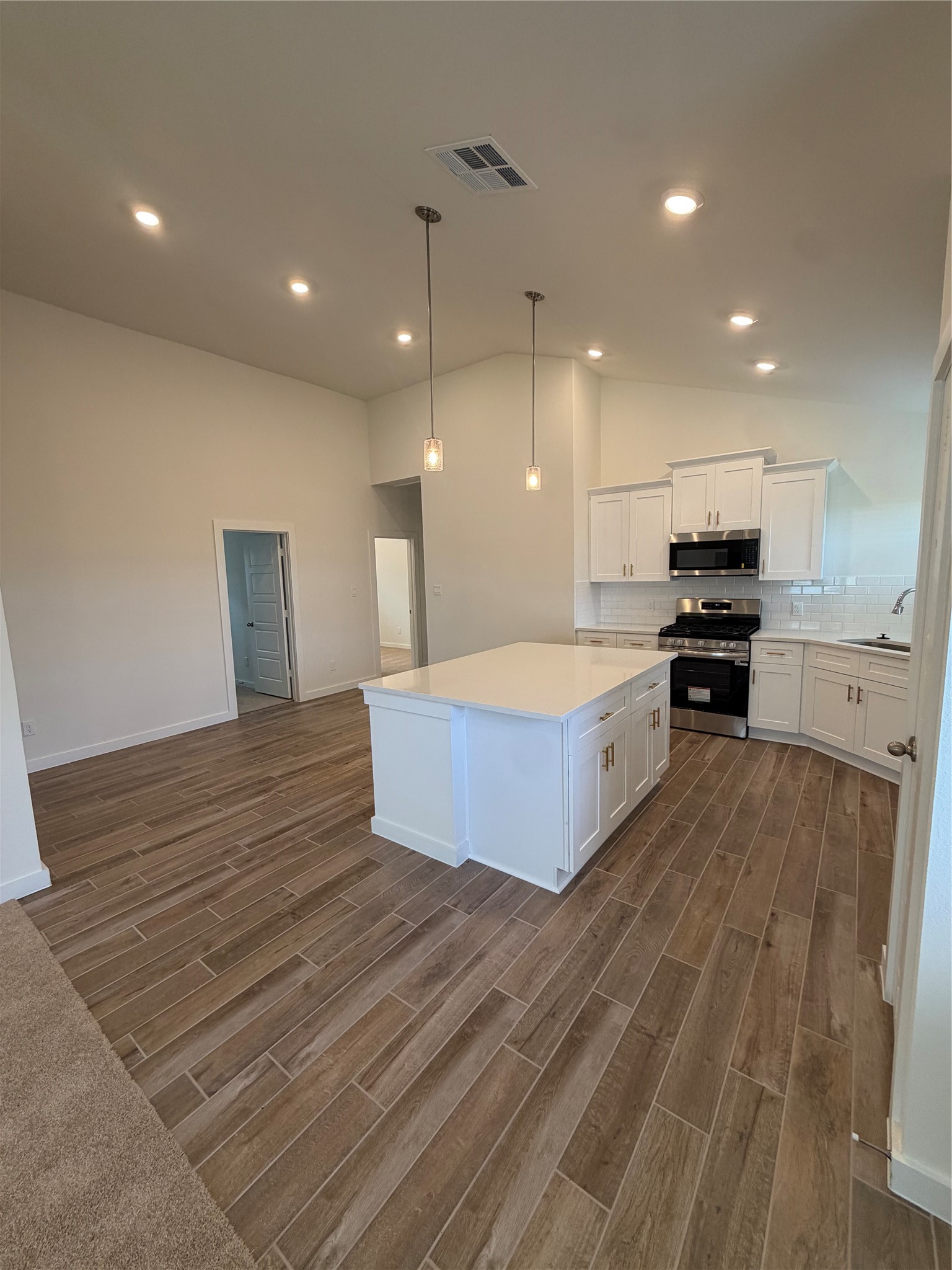 13202 Hayden Peak Drive Property Photo 5