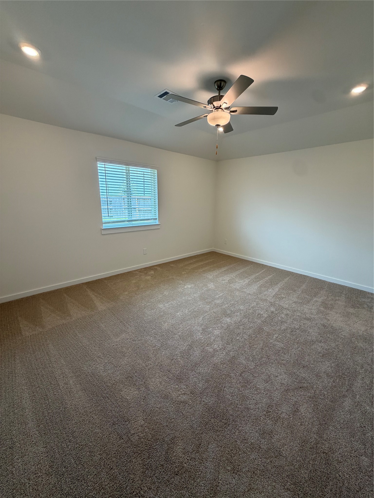 13202 Hayden Peak Drive Property Photo 18