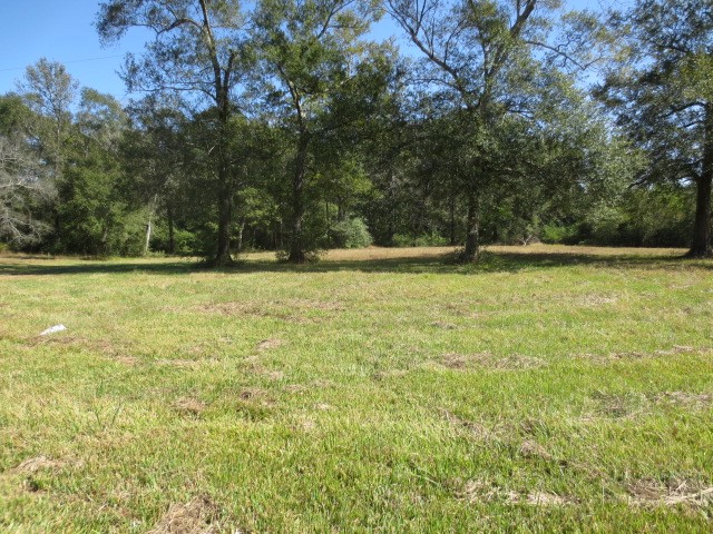 13596 Rogers Road Property Photo 4
