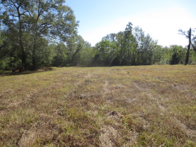 13596 Rogers Road Property Photo 4