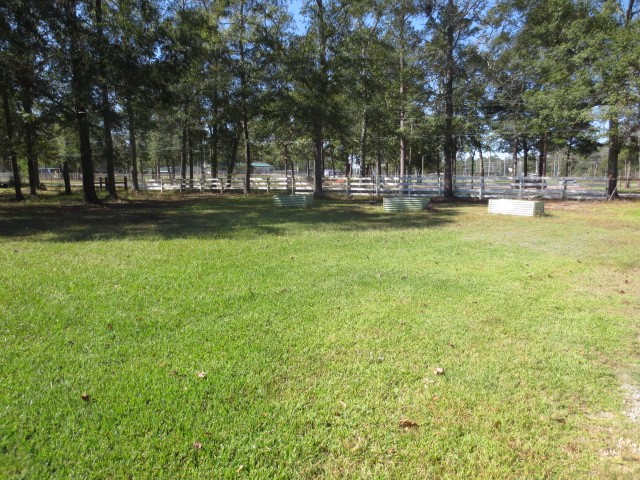 13596 Rogers Road Property Photo 5