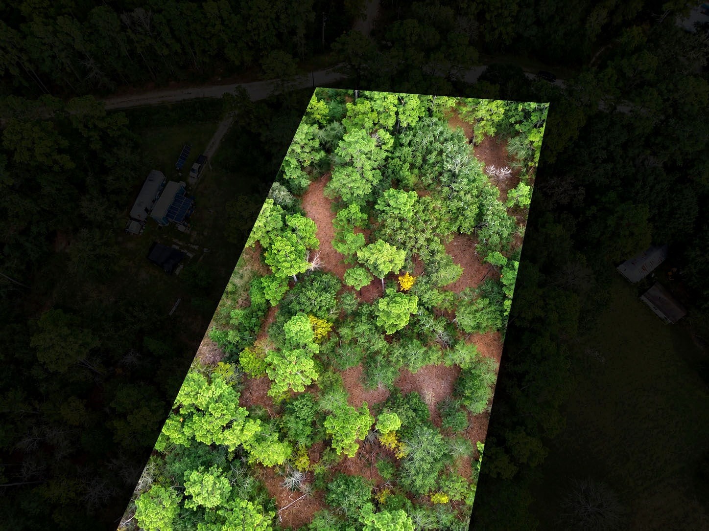 Tbd Northwest Passage Property Photo 10