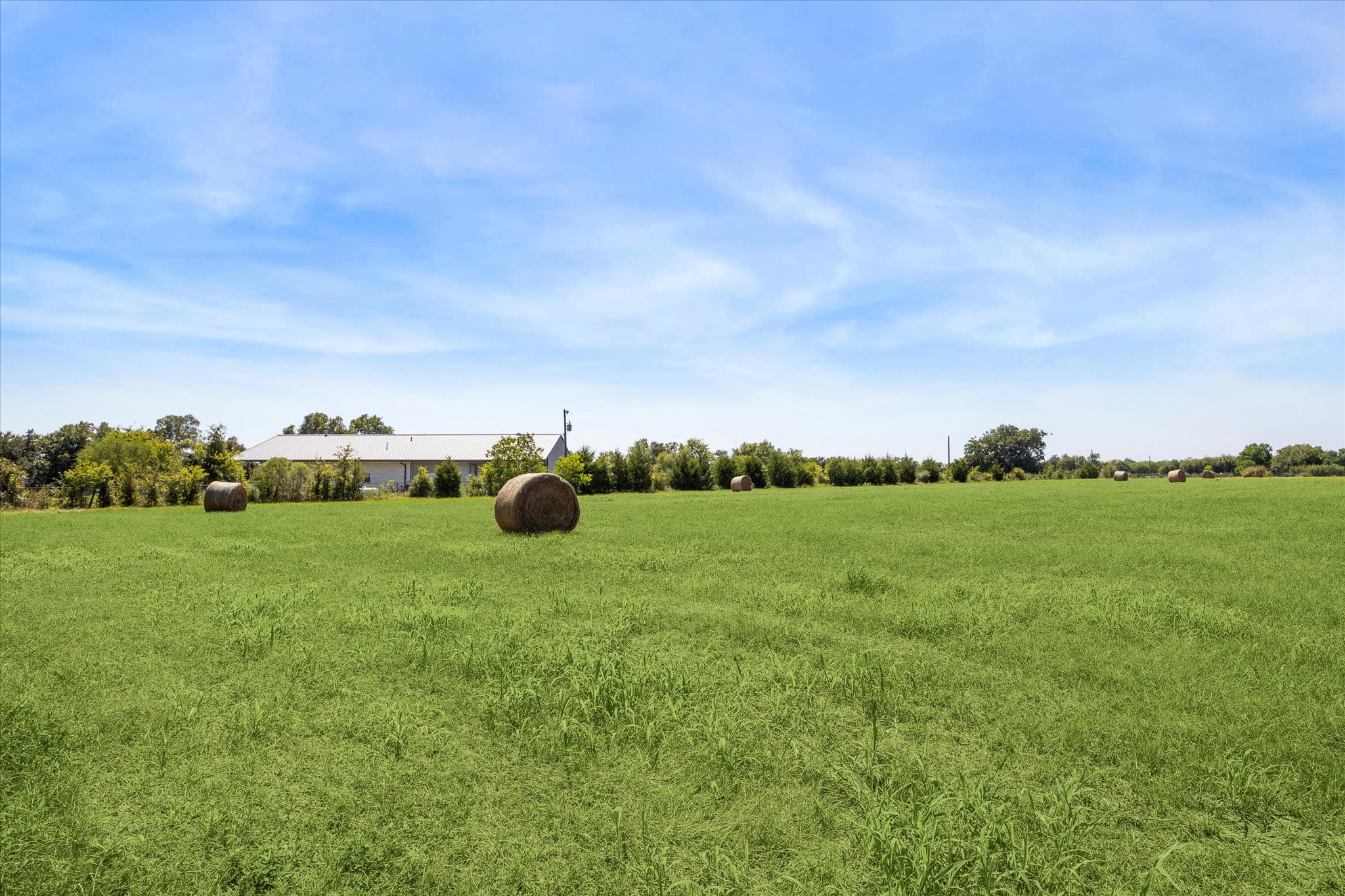 38096 Klaus Ln Road Property Photo 5