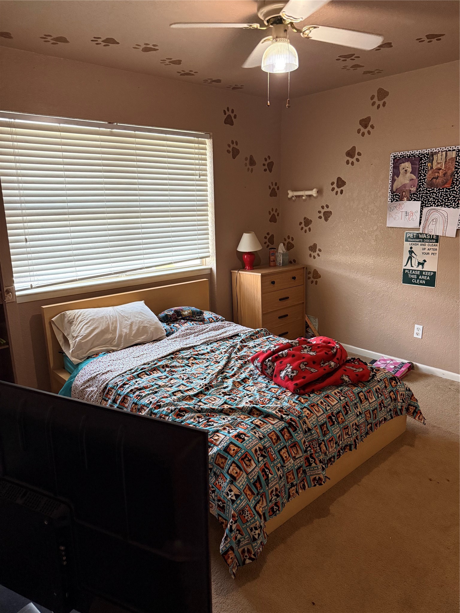 1075 Redfish Street Property Photo 18