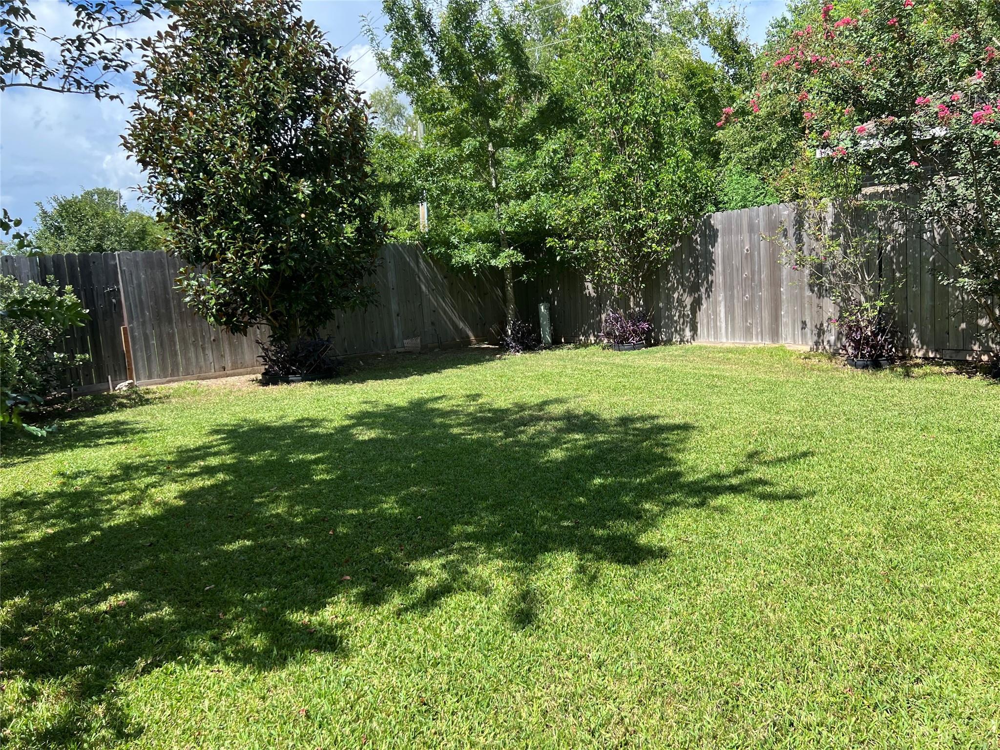 13706 Maximos Drive Property Photo 40