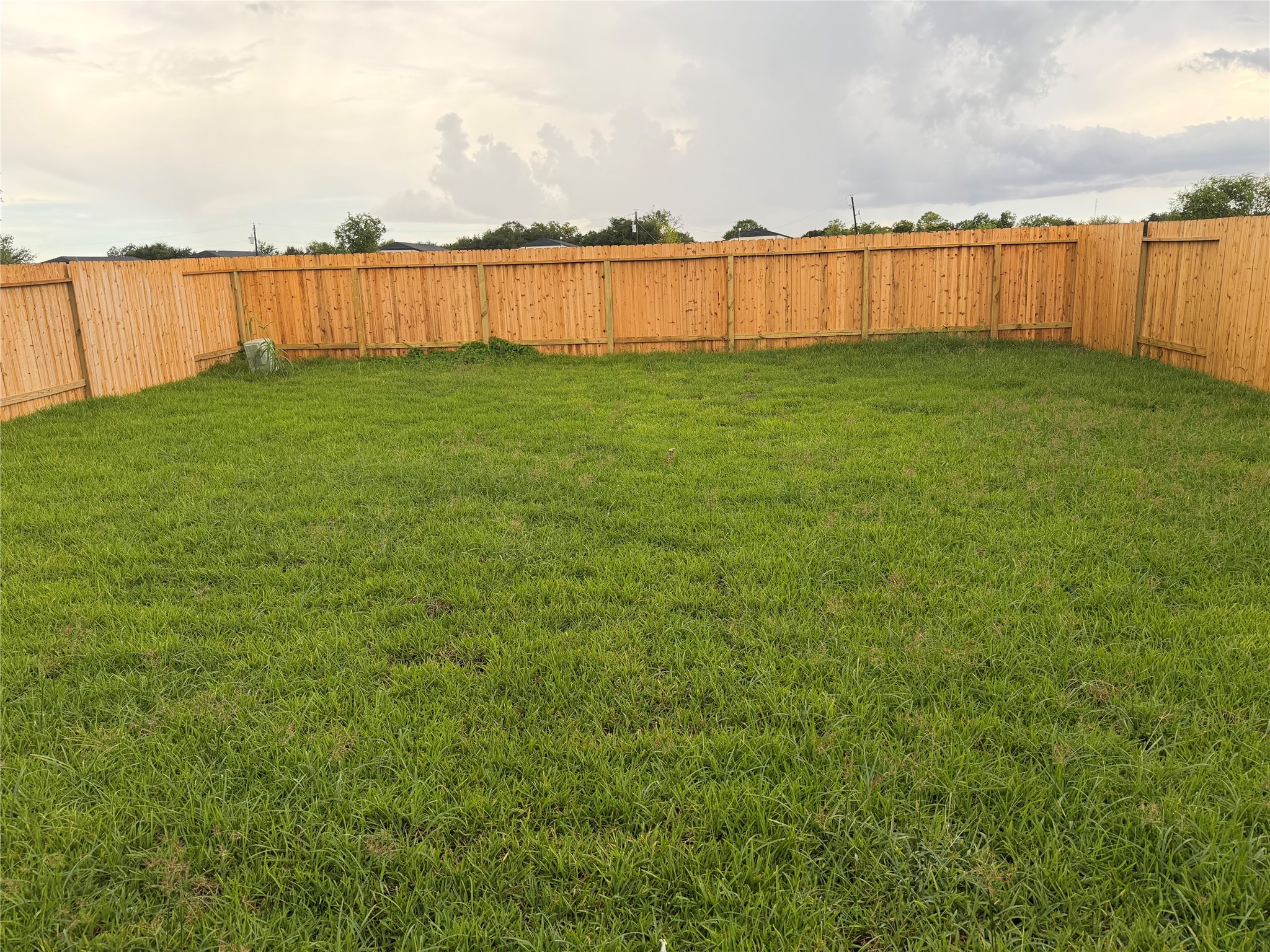 1306 Wharton Lakes Boulevard Property Photo 11