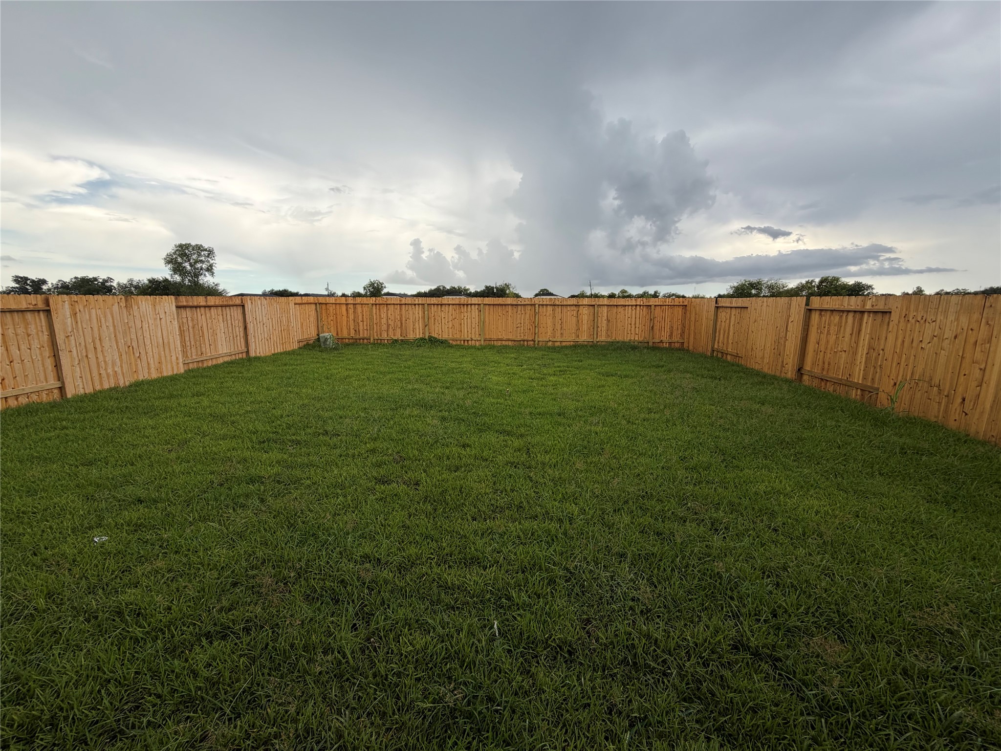 1306 Wharton Lakes Boulevard Property Photo 12