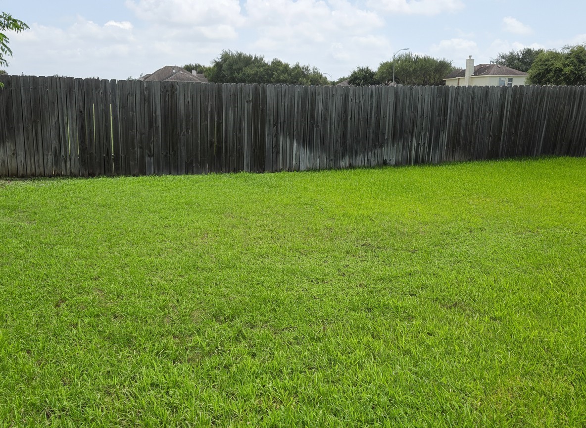 25306 Basil Brook Court Property Photo 19