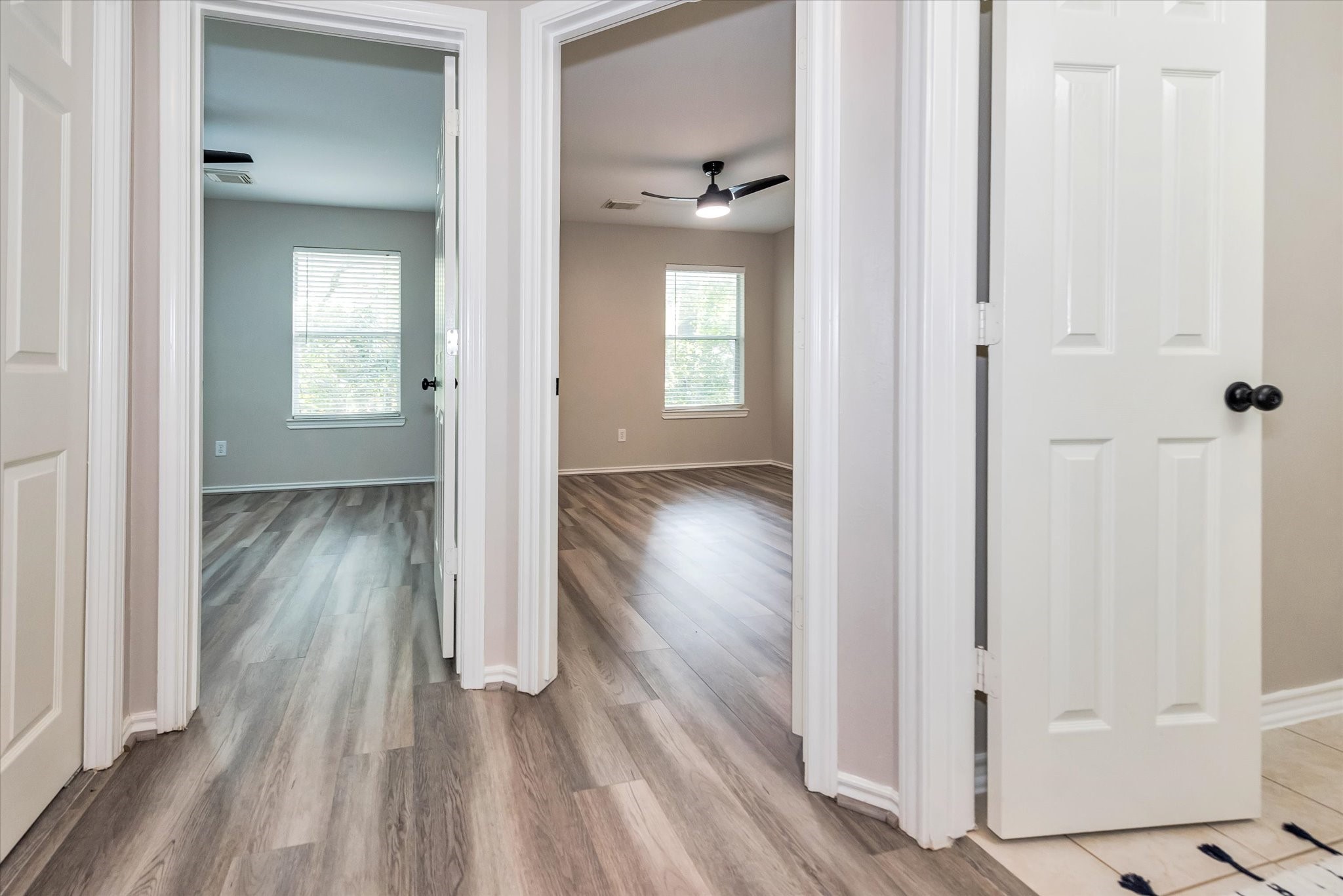 42 Musgrove Place Property Photo 29