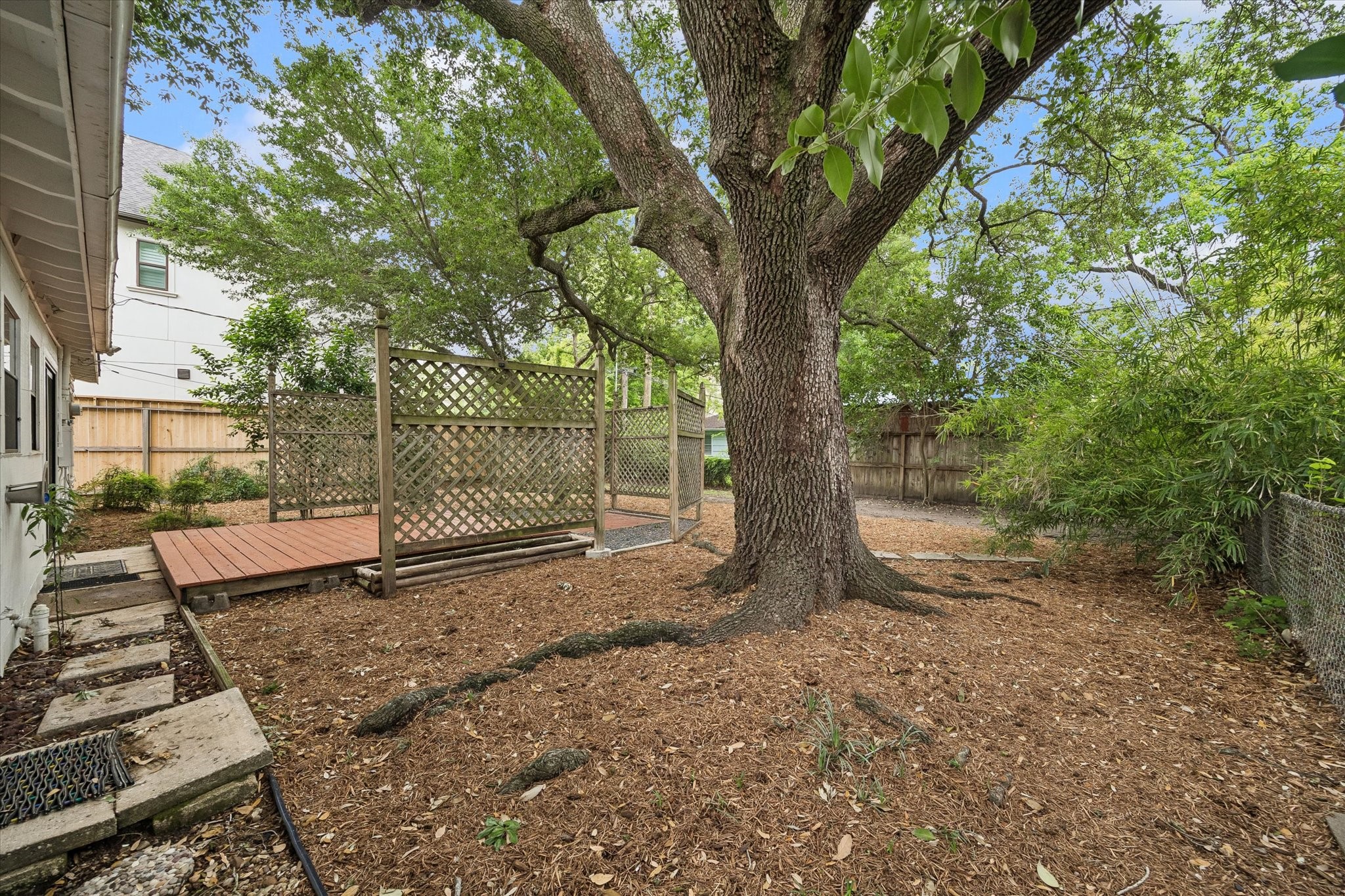 5539 Jessamine Street Property Photo 14
