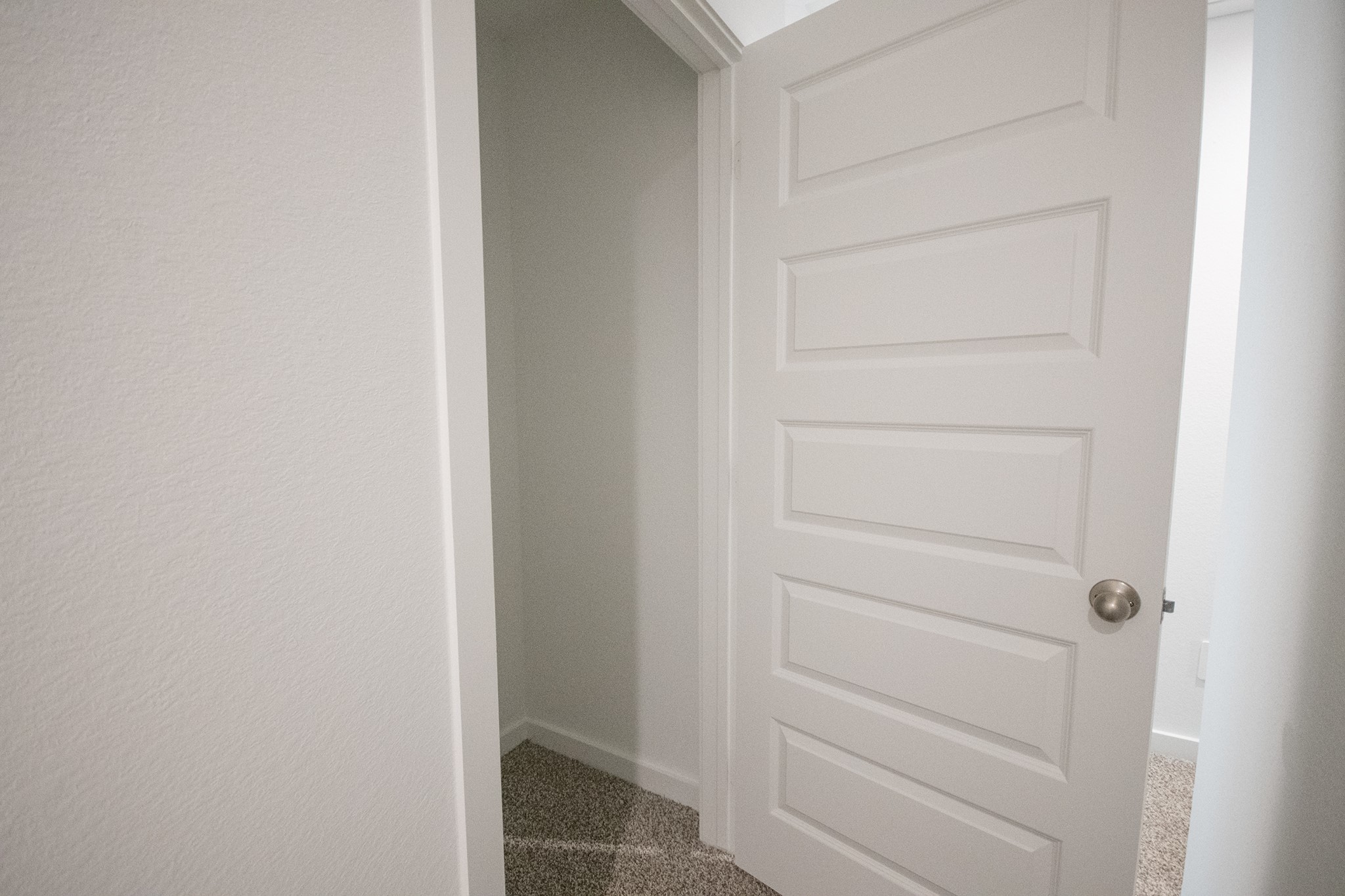 10217 Berkeley Springs Trail Property Photo 16