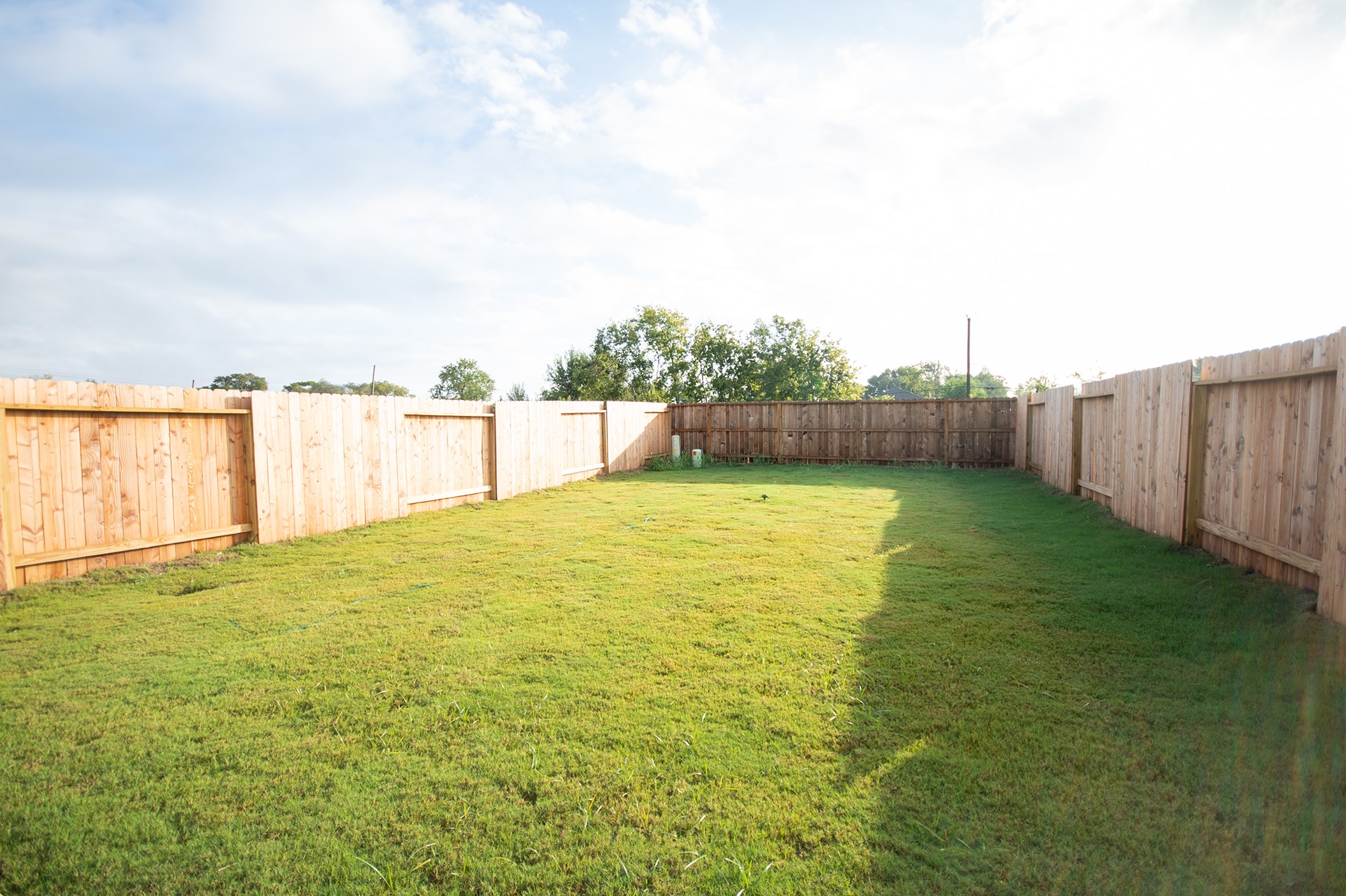 10217 Berkeley Springs Trail Property Photo 22