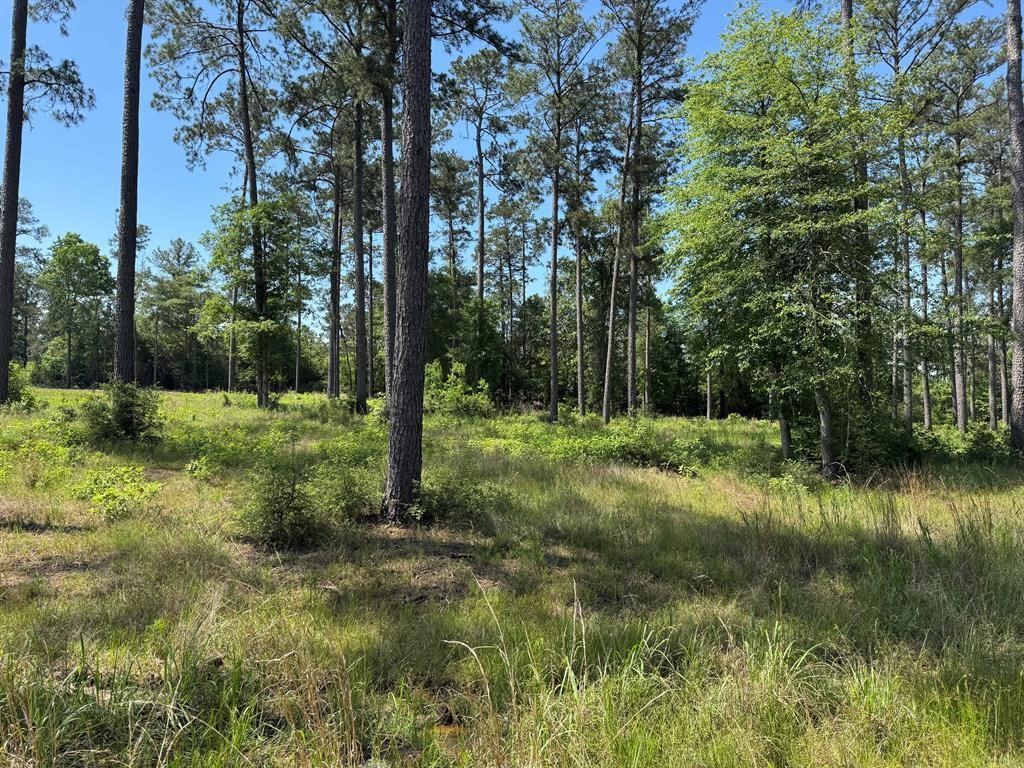 006 Private Road 6028 Tract 1-6 Property Photo 1