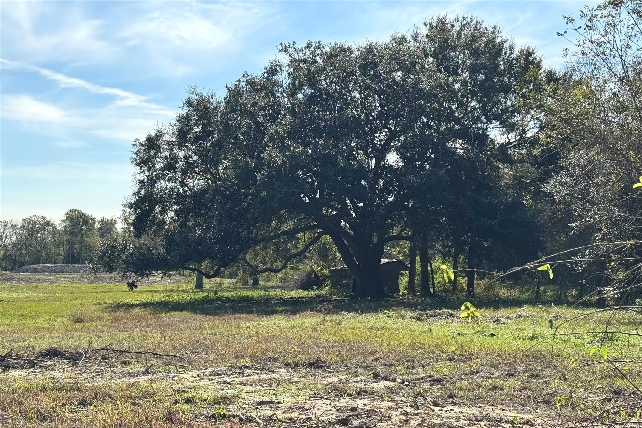 25810 Tx-6 Property Photo 1