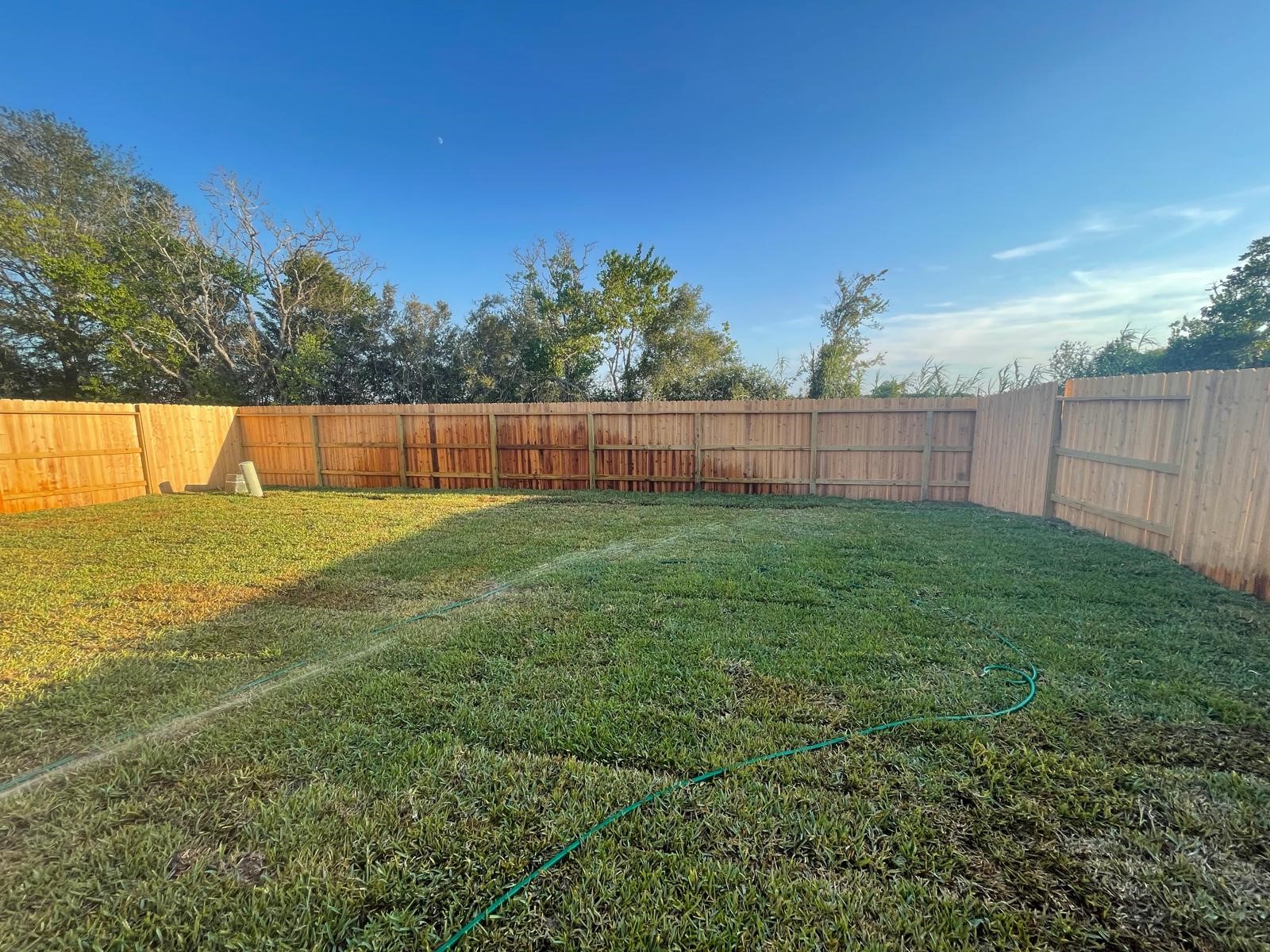 31511 Silverthorne Bush Drive Property Photo 11