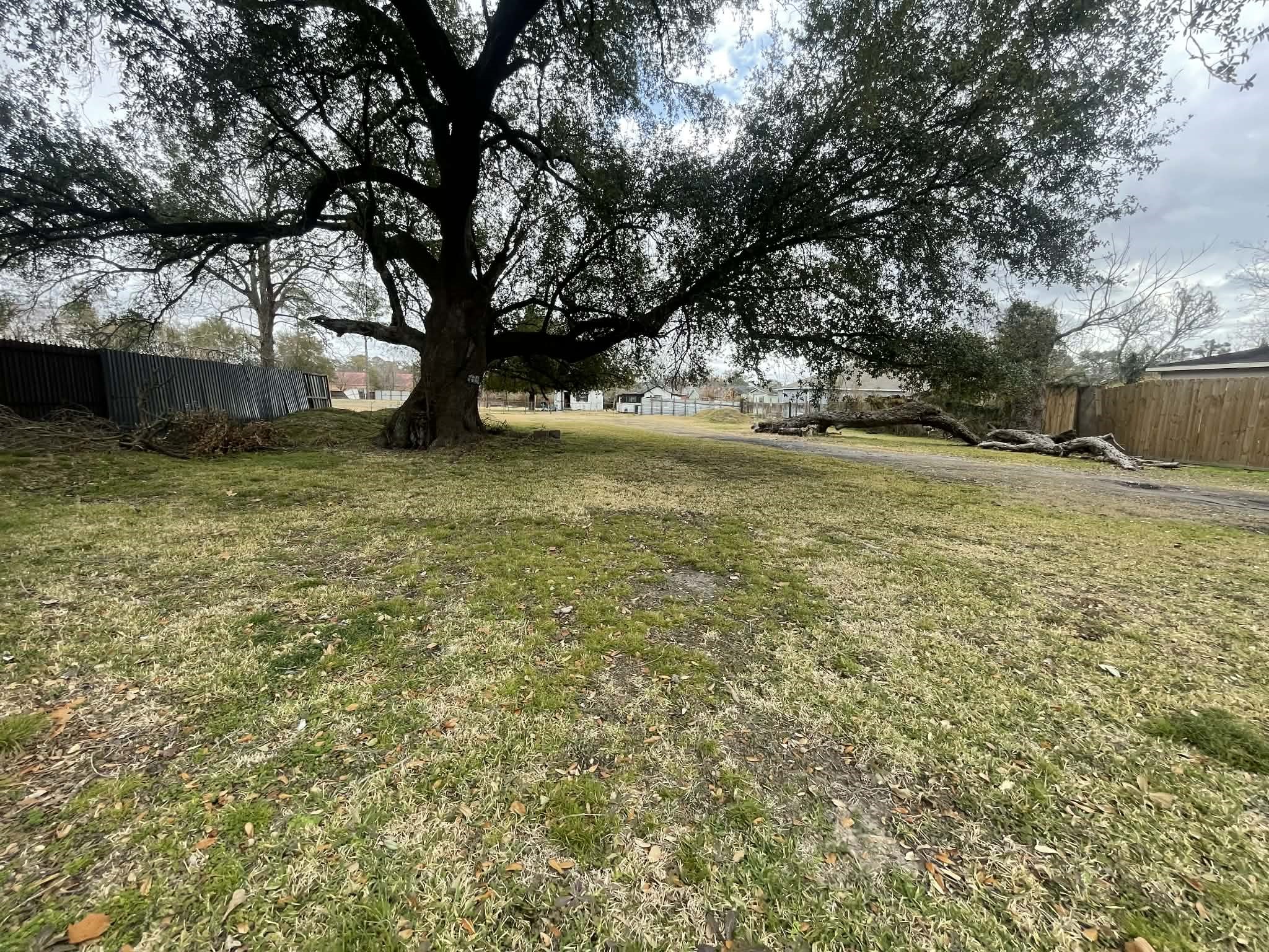 0 Knox Street Property Photo 1