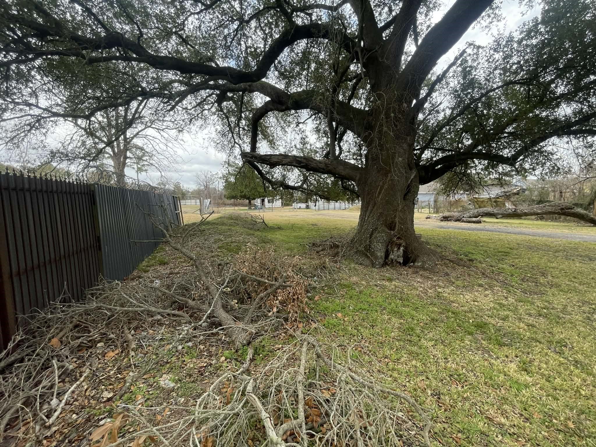 0 Knox Street Property Photo 6