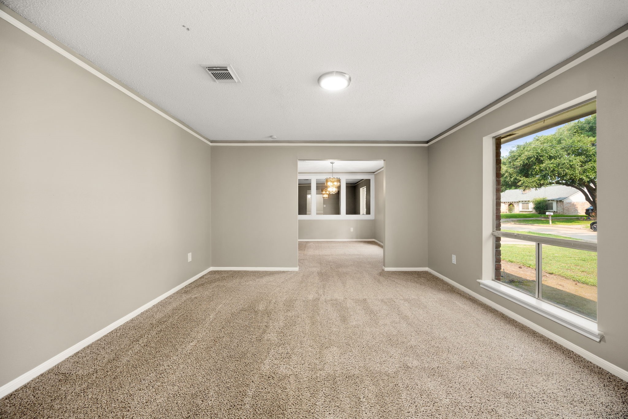 5923 Pebble Springs Drive Property Photo 19