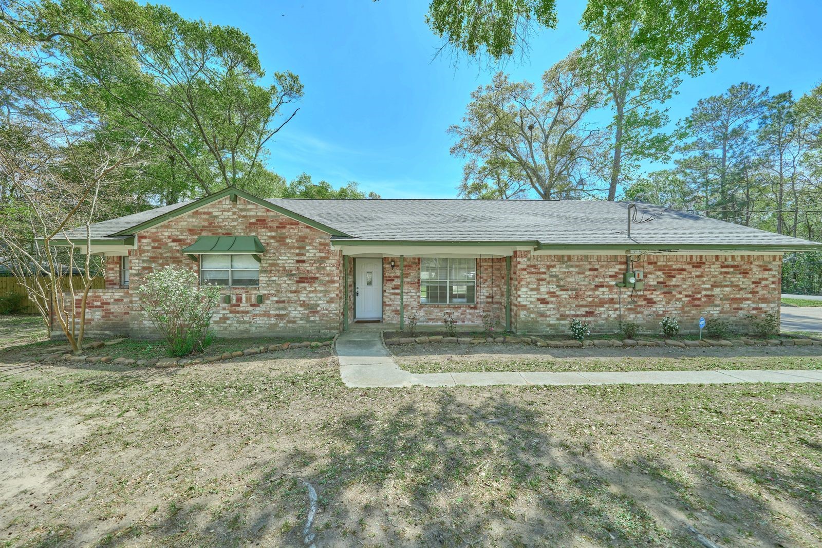 1815 Live Oak Drive Property Photo 5