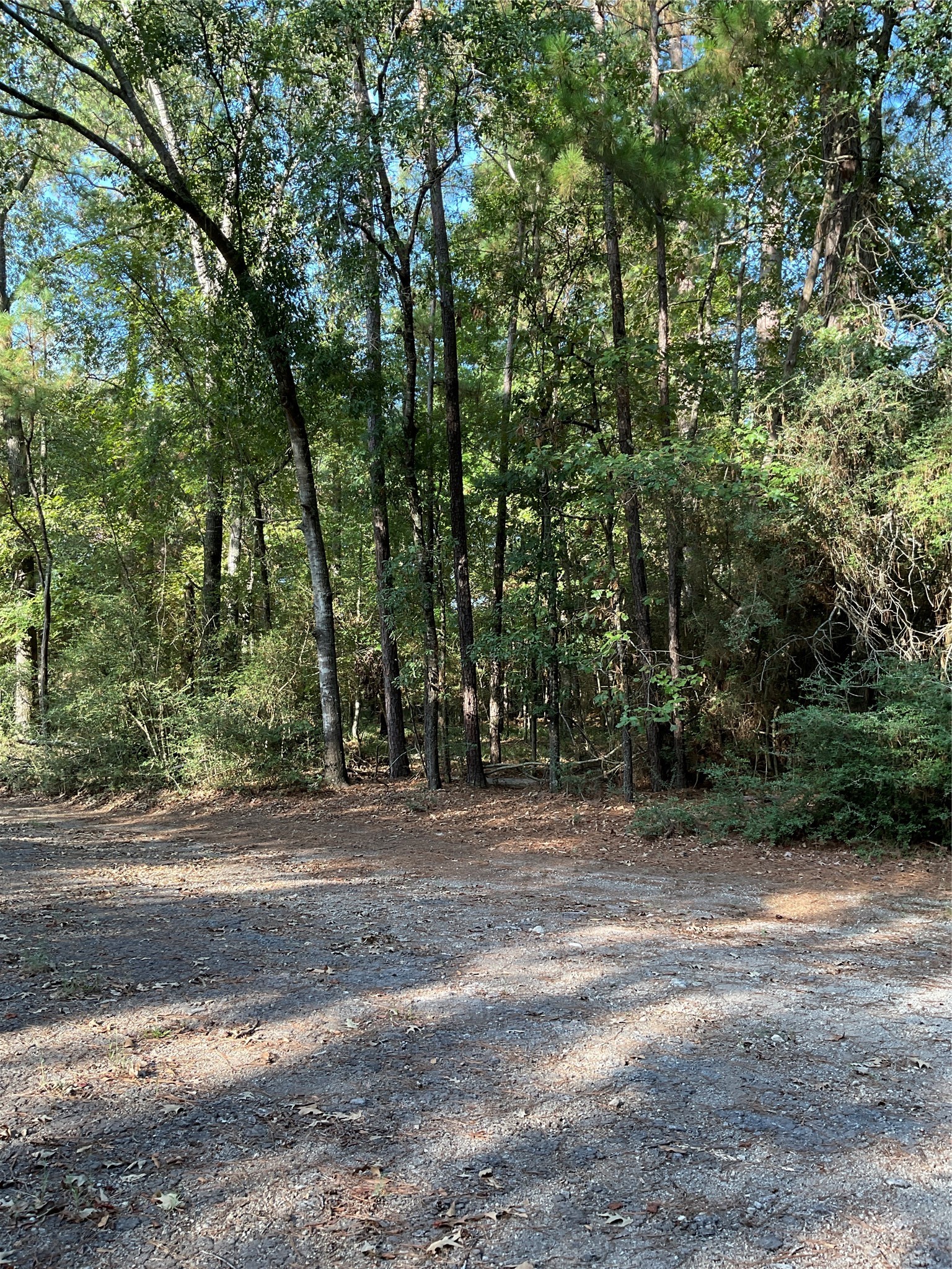 0 Piping Rock Property Photo 1