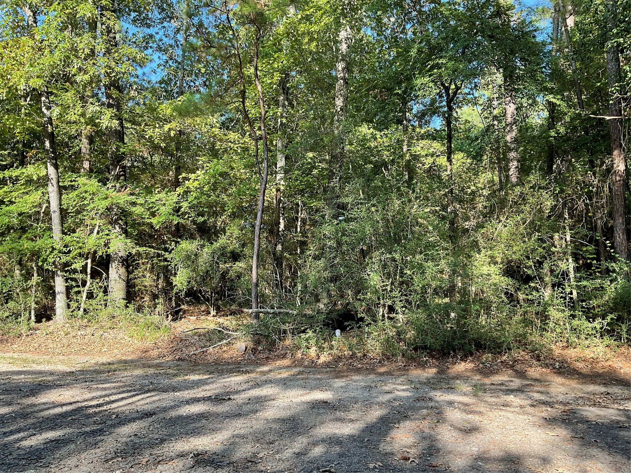 0 Piping Rock Property Photo 7