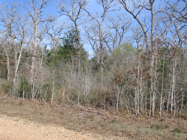 100 Rainbow Circle Property Photo 1