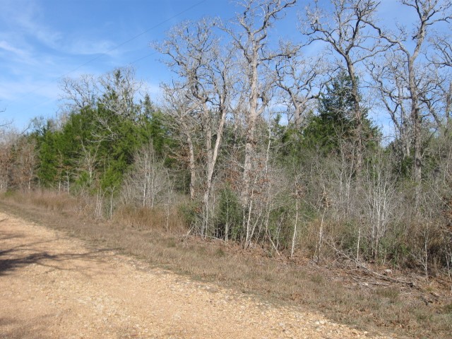 100 Rainbow Circle Property Photo 2