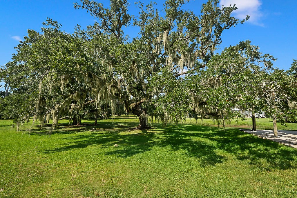 155 Horse Shoe Trail Property Photo 43