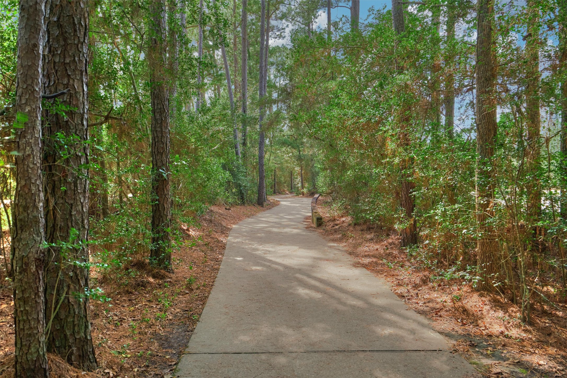 38 E Gaslight Place Property Photo 49