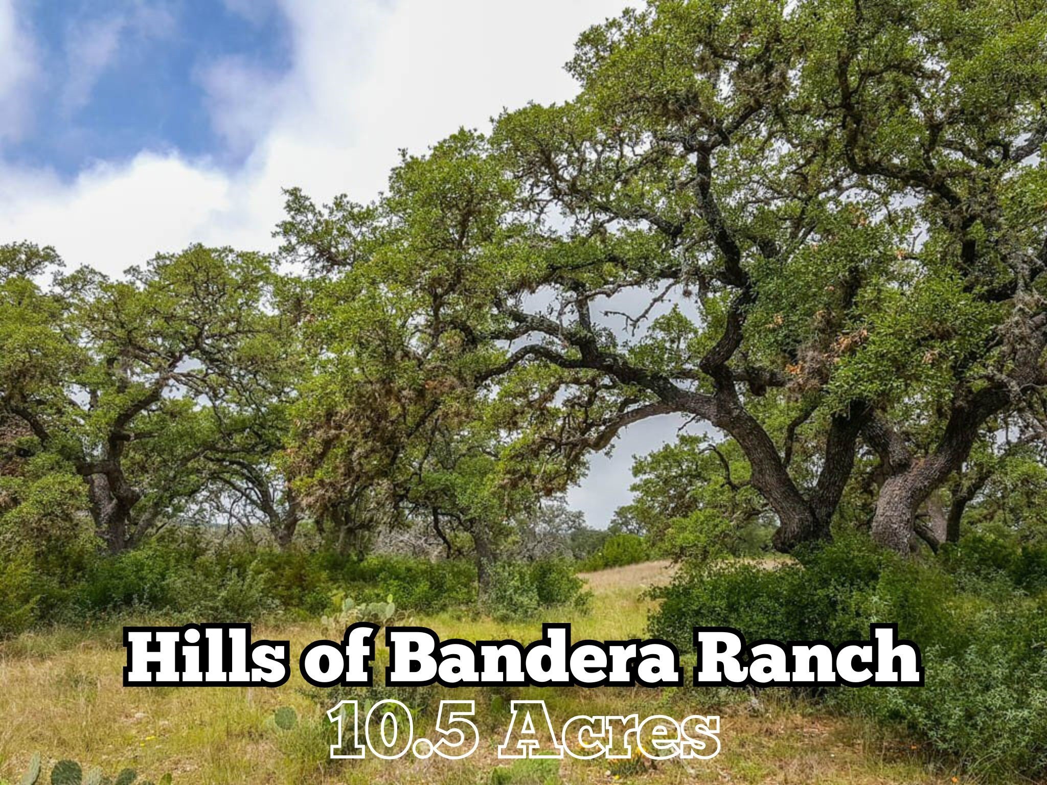 Lot 16-a Bandera Boulevard Property Photo 1