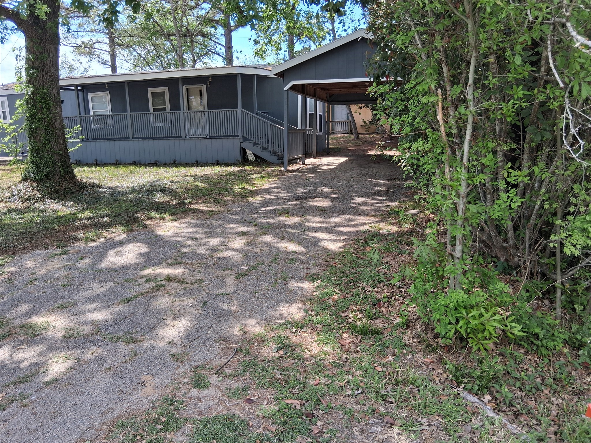 11797 White Cedar Street Property Photo 2