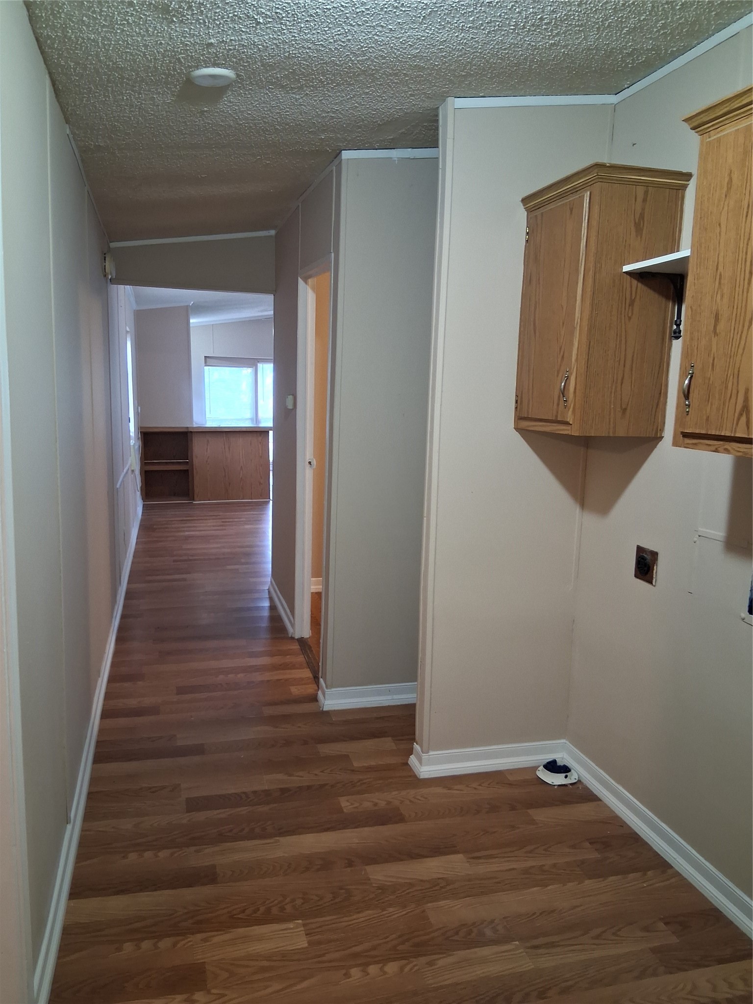 11797 White Cedar Street Property Photo 16
