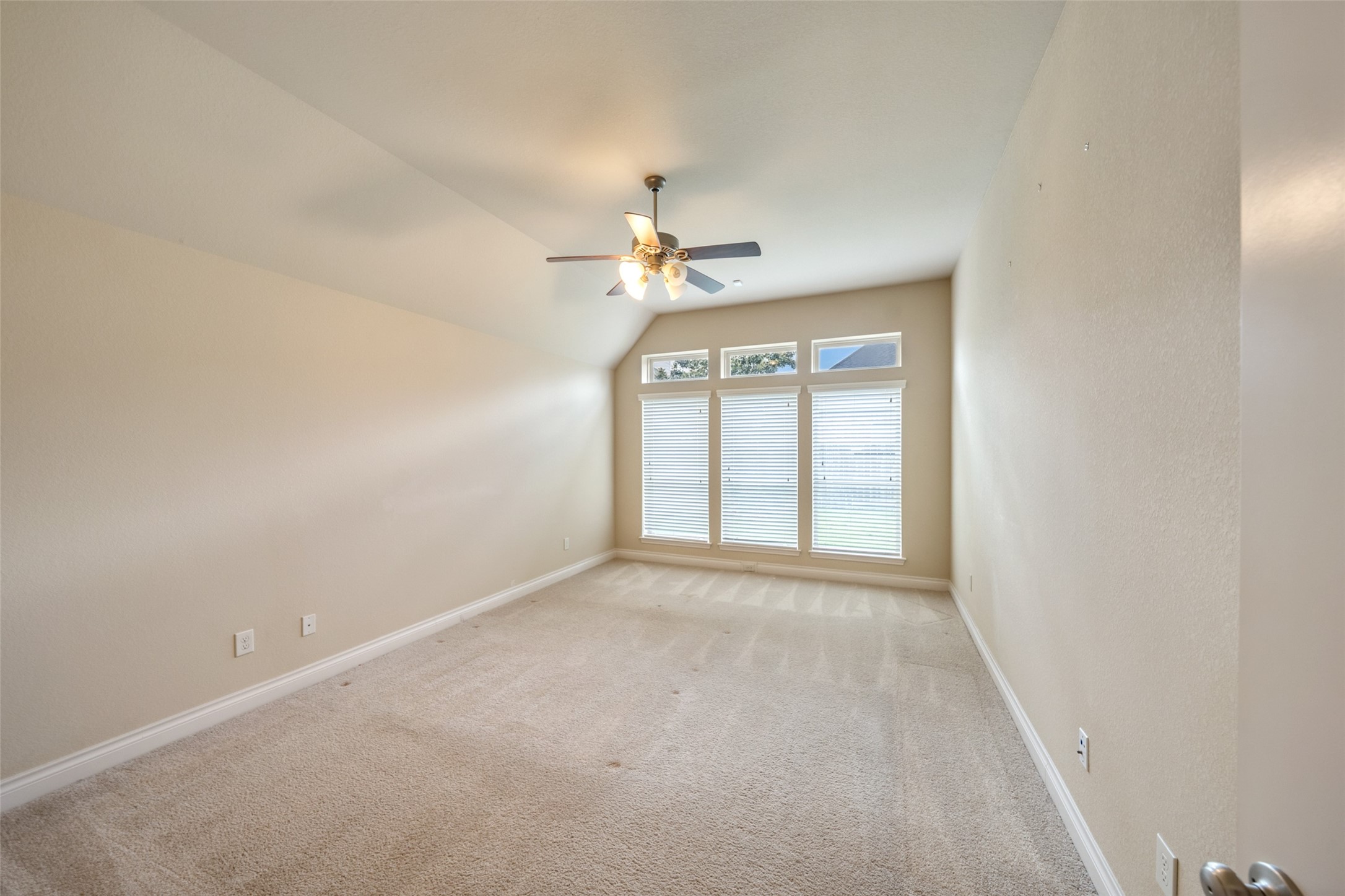 29022 Crested Butte Drive Property Photo 20