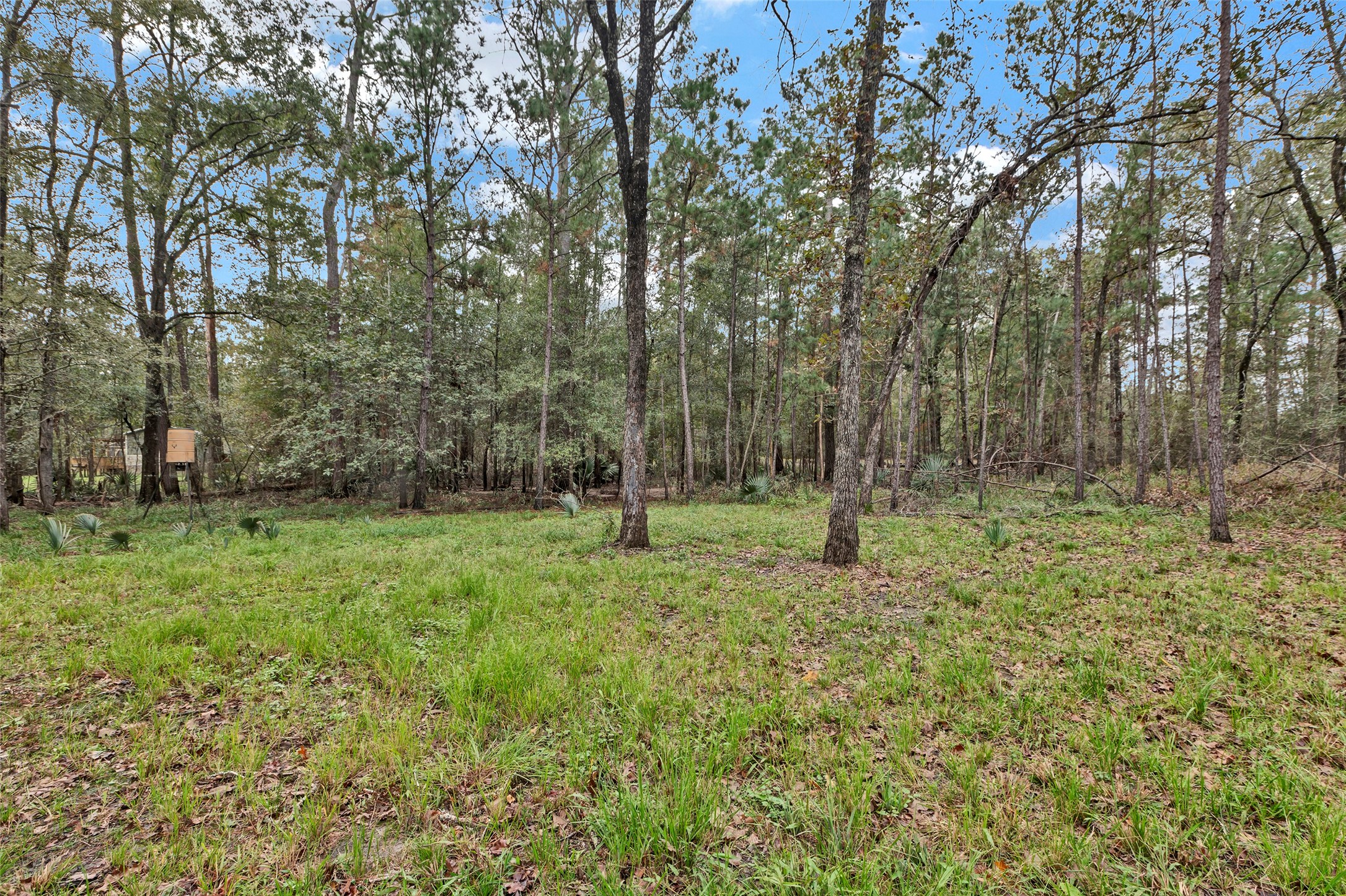 271 Shoreline Drive Property Photo 20