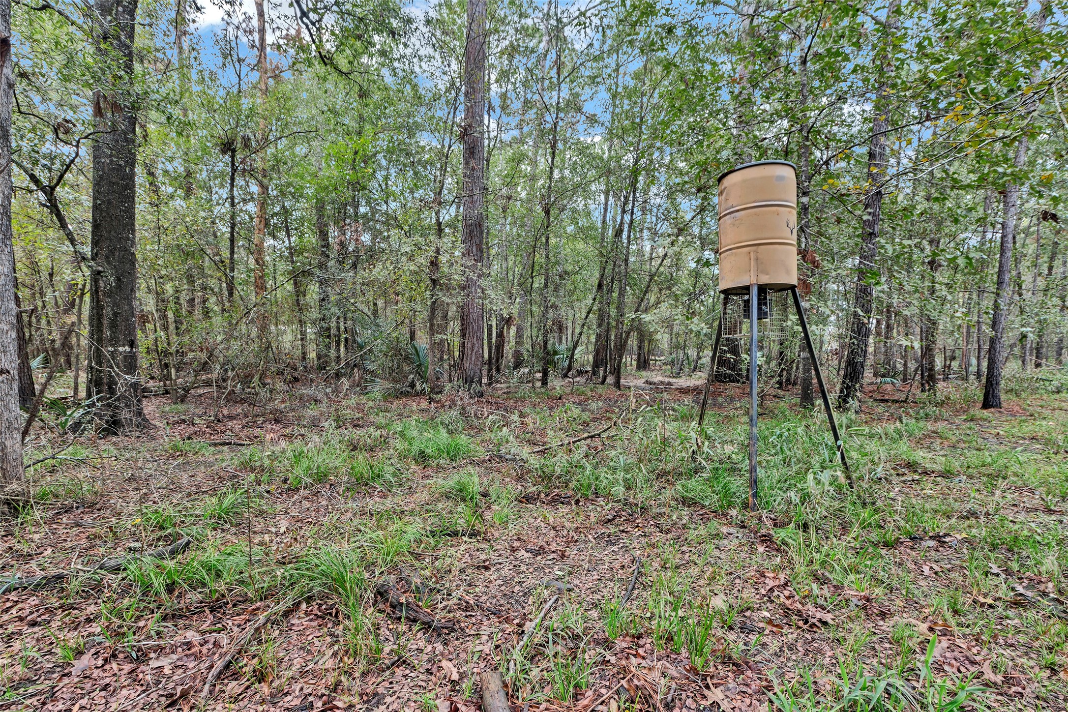 271 Shoreline Drive Property Photo 22