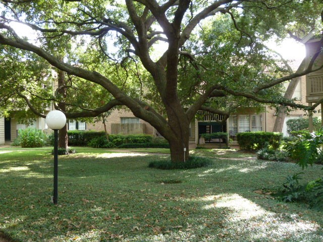 2100 Tanglewilde Street 565 Property Photo 11