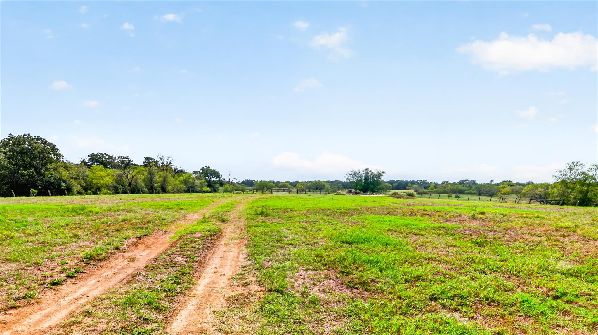 6561 Fm 3060 Property Photo 2
