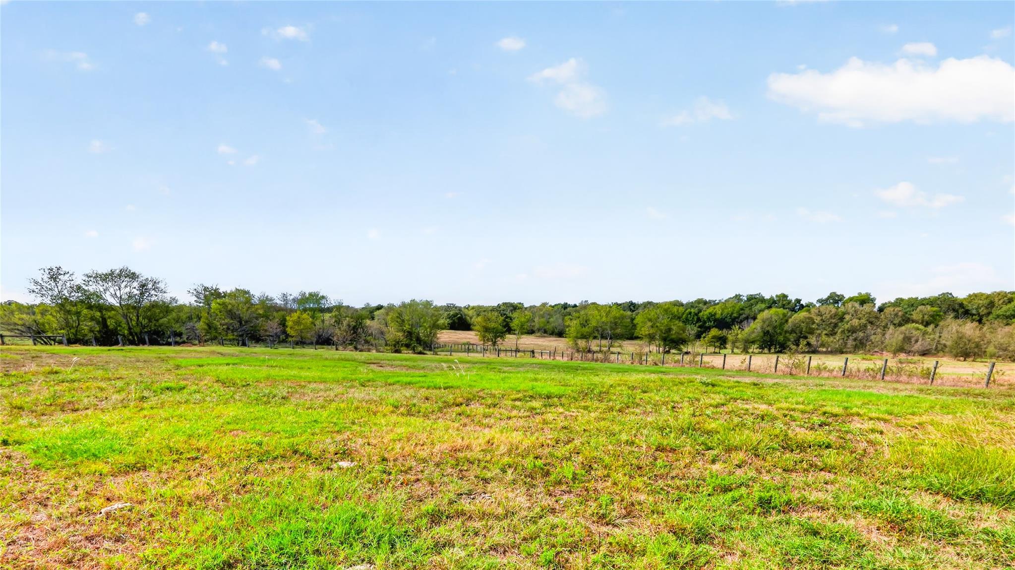 6561 Fm 3060 Property Photo 3