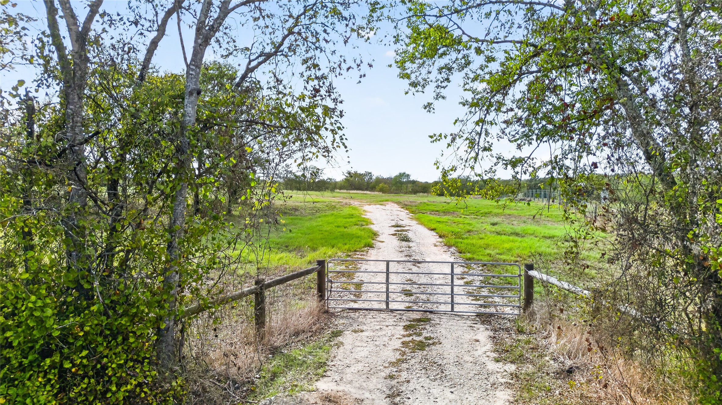 6561 Fm 3060 Property Photo 17