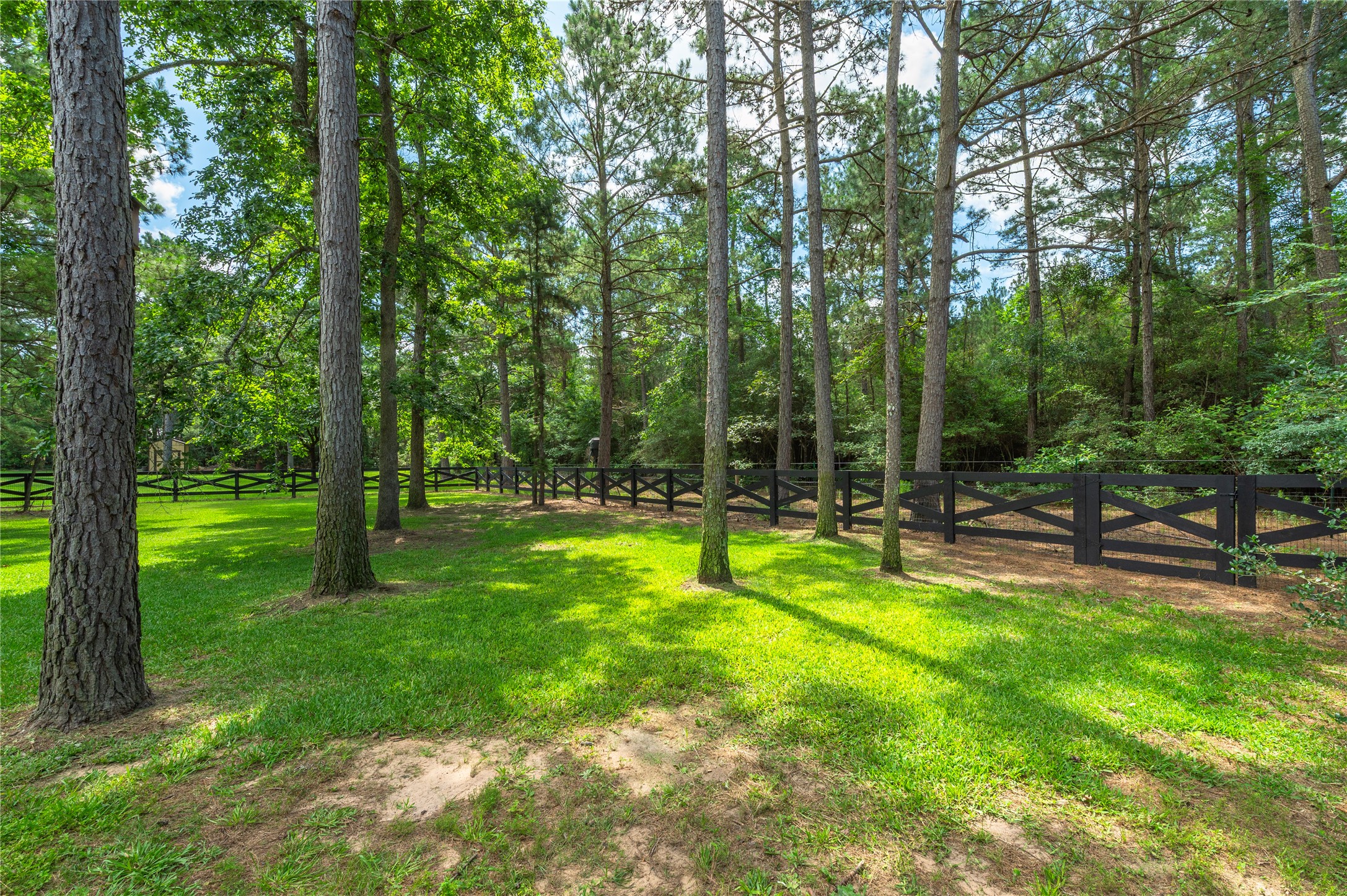 13074 Victoria Trace Property Photo 49